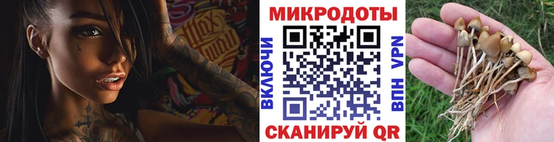 Купить закладки  Буй  Галлюциногенные грибы ЛСД 
